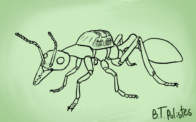 a Nothomyrmecia ant wearing a backpack