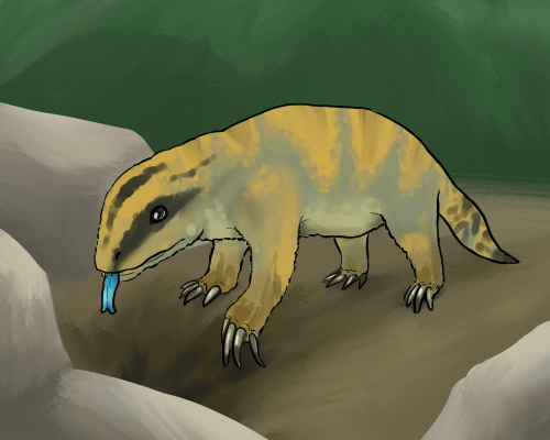 a badger-like reptile